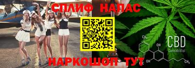 ешки Обнинск