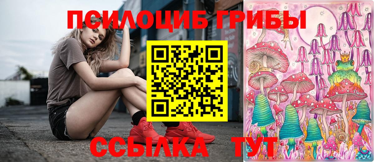 Урай  Галлюциногенные грибы Psilocybine cubensis  Вход с VPN 